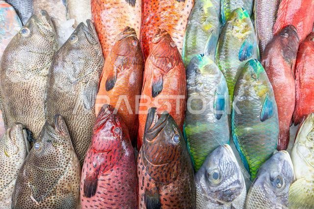 Colorful fish at a stand at a seafood market in Jeddah, Saudi Arabia.