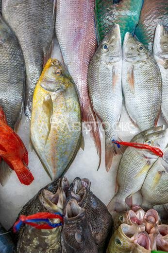 Colorful fish at a stand at a seafood market in Jeddah, Saudi Arabia.