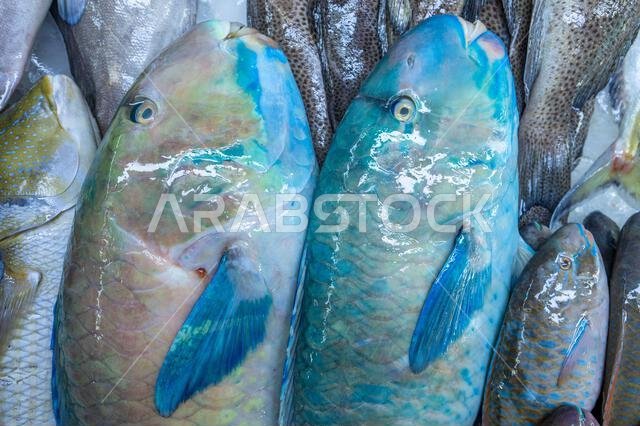 Colorful fish at a stand at a seafood market in Jeddah, Saudi Arabia.