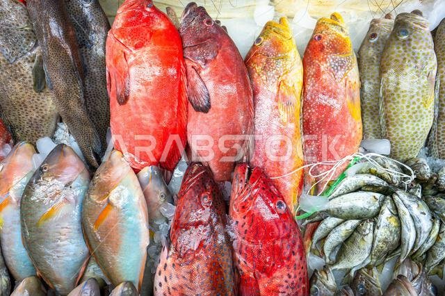Colorful fish at a stand at a seafood market in Jeddah, Saudi Arabia. Colorful fish at a stand at a seafood market in Jeddah, Saudi Arabia.