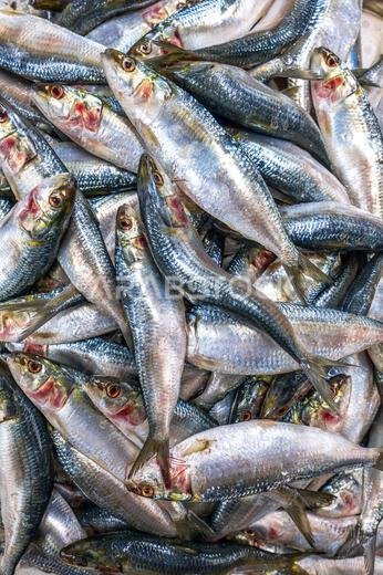 Colorful fish at a stand at a seafood market in Jeddah, Saudi Arabia.