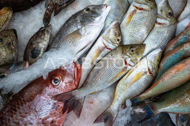 Colorful fish at a stand at a seafood market in Jeddah, Saudi Arabia.