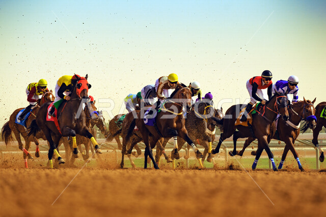 مجموعة من الفرسان السعوديون يمتطون الخيل في سباق الخيل الاصيل ، ميدان الملك عبد العزيز للفروسية في الرياض ، نادي سباقات الخيل ، هواية ركوب الخيل ، الفروسية ، مهارات وأنشطة ترفيهية