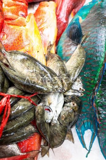 Colorful fish at a stand at a seafood market in Jeddah, Saudi Arabia. Colorful fish at a stand at a seafood market in Jeddah, Saudi Arabia.