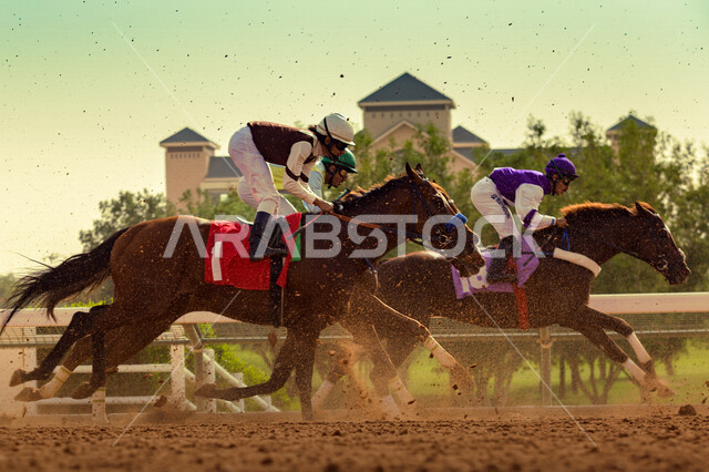 مجموعة من الفرسان السعوديون يمتطون الخيل في سباق الخيل الاصيل ، ميدان الملك عبد العزيز للفروسية في الرياض ، نادي سباقات الخيل ، هواية ركوب الخيل ، الفروسية ، مهارات وأنشطة ترفيهية