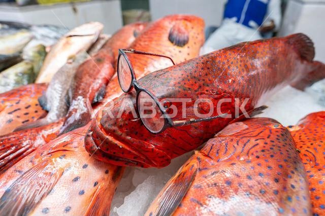 Colorful fish at a stand at a seafood market in Jeddah, Saudi Arabia. Colorful fish at a stand at a seafood market in Jeddah, Saudi Arabia.