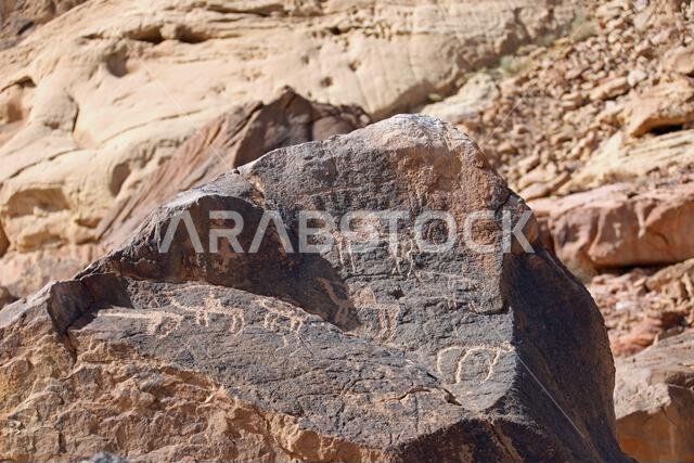 Petroglyphs at Umm Sinman Mountain near Jubbah in Saudi Arabia
