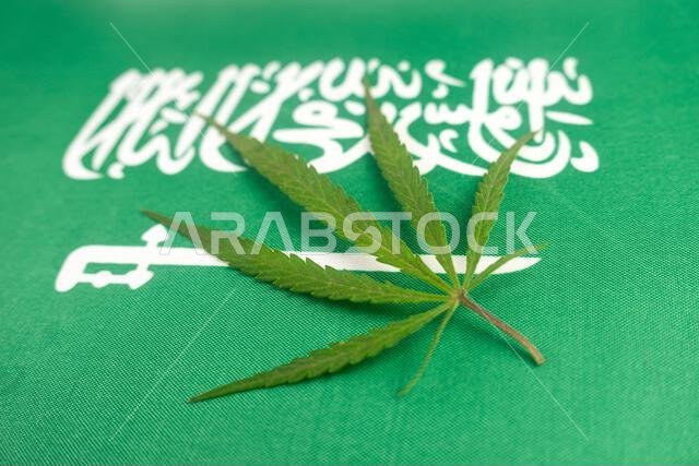 ورقة قنب على خلفية علم المملكة العربية السعودية. مفهوم تقنين الماريجوانا والتغييرات في التشريعات المتعلقة بزراعة واستخدام الماريجوانا في المملكة العربية السعودية.