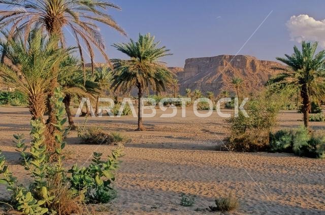 Hadhramaut is a region in South Arabia, comprising eastern Yemen, parts of western Oman and southern Saudi Arabia