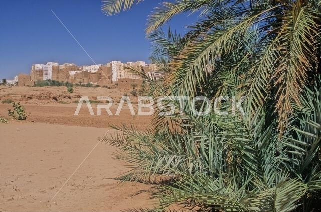 Hadhramaut is a region in South Arabia, comprising eastern Yemen, parts of western Oman and southern Saudi Arabia