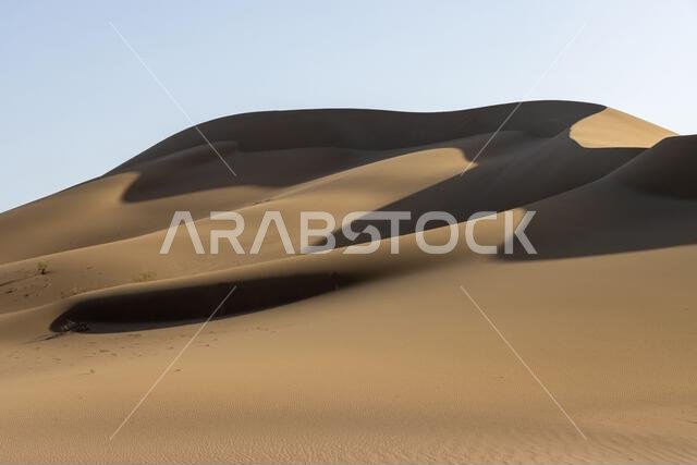 كثبان رملية في الصحراء. معزولة
