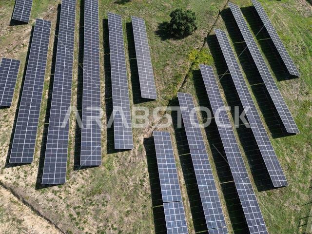 Solar panels on a photovoltaic power station