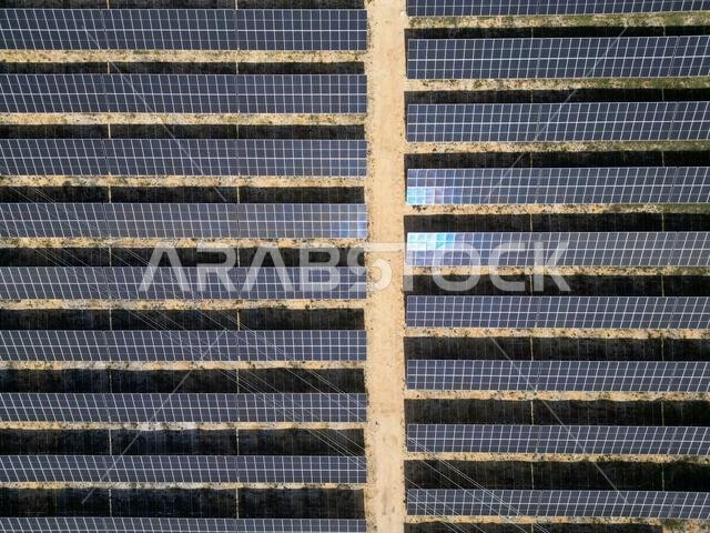 Solar panels on a photovoltaic power station