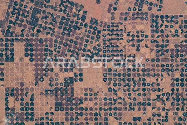 Agricultural fields and activities are photographed from the ISS at 259 miles above Tabarjal, northern Saudi Arabia, on September 19, 2023. Agricultural fields and activities are photographed from the ISS at 259 miles above Tabarjal, northern Saudi Arabia, on September 19, 2023.