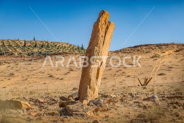 أعمدة راجاجيل القديمة التي يعود تاريخها إلى الألفية الرابعة قبل الميلاد، بالقرب من سكاكا، الجوف، المملكة العربية السعودية أعمدة راجاجيل القديمة التي يعود تاريخها إلى الألفية الرابعة قبل الميلاد، بالقرب من سكاكا، الجوف، المملكة العربية السعودية