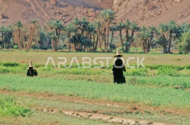 المذابة هي قبعة تقليدية تستخدم في اليمن وترتديها النساء