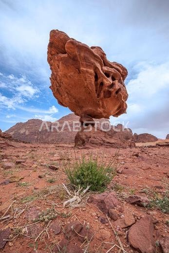 عمودي منطقة تبوك نيوم