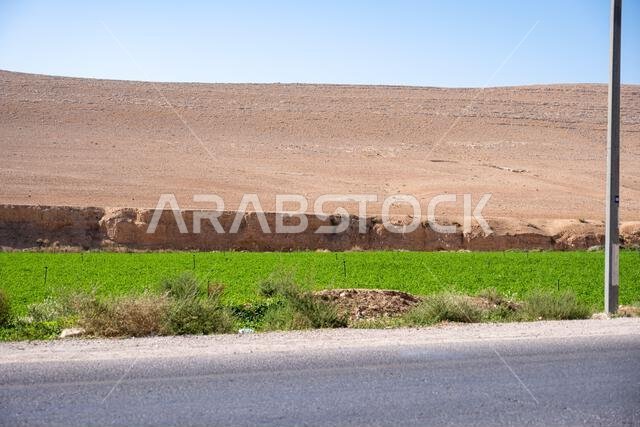تأثير الاحتباس الحراري وتغير المناخ على الطبيعة وزيادة التصحر في الزراعة