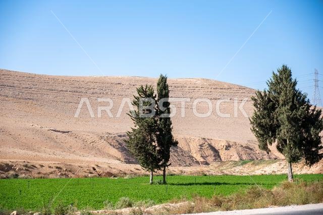 Effect on nature and increase desertification on agriculture due to global warming and climate change