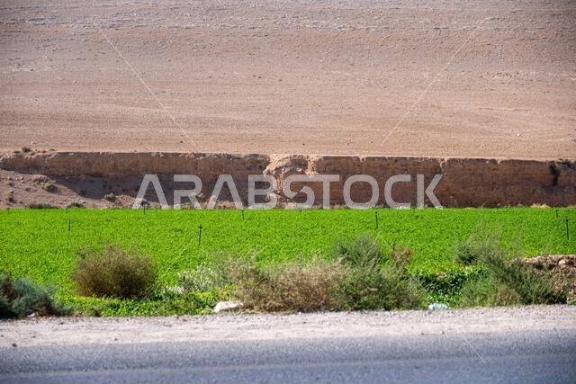 تأثير الاحتباس الحراري وتغير المناخ على الطبيعة وزيادة التصحر في الزراعة تأثير الاحتباس الحراري وتغير المناخ على الطبيعة وزيادة التصحر في الزراعة