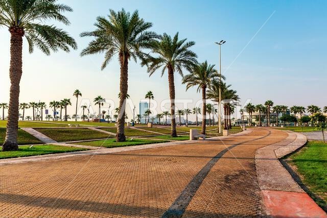 منظر صباحي رائع على كورنيش الخبر في المملكة العربية السعودية. إذا كنت تبحث عن مكان هادئ للاستمتاع بالطبيعة والهواء النقي في الخبر، فقد تجد ضالتك هنا.