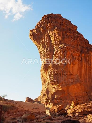 Wadi AlNaam, AlUla, Saudi Arabia