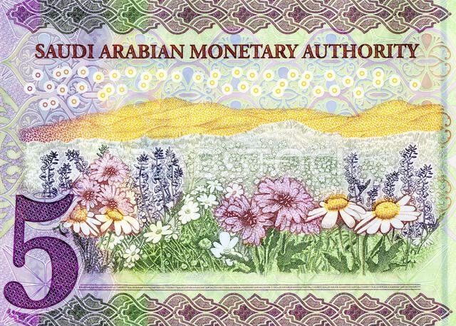 جزء من الوجه الخلفي لعملة ورقية من فئة 5 ريالات سعودية، عليها حقل من الزهور.