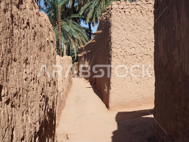 Daimumah Oasis, AlUla, Saudi Arabia