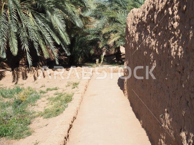 واحة ديمومة، العلا، المملكة العربية السعودية