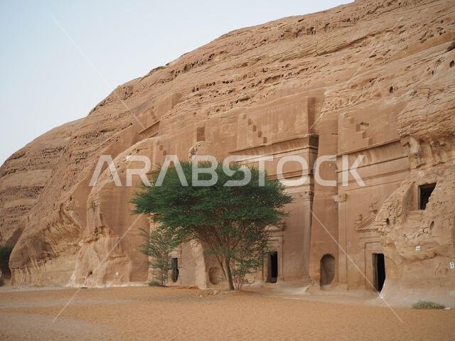 الحِجر، العلا، المملكة العربية السعودية