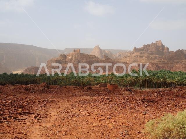 Lion tombs of Dadan, AlUla, Saudi Arabia