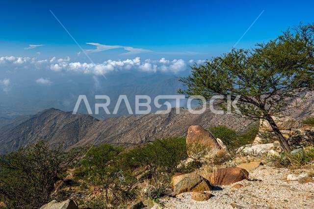 Dramatic and picturesque mountain landscape. Early morning in the Sarawat Mountains, Saudi Arabia.