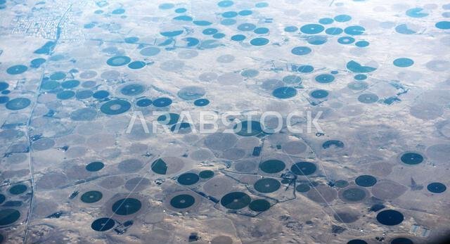 صورة جوية لحقول زراعية دائرية في الصحراء العربية في المملكة العربية السعودية.
