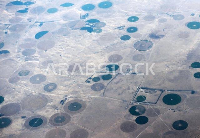 صورة جوية لحقول زراعية دائرية في الصحراء العربية في المملكة العربية السعودية.