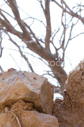 أطلال مدينة عربية قديمة في الشرق الأوسط مبنية من الطوب اللبن، ومسجد قديم ذو مئذنة في الرياض، المملكة العربية السعودية