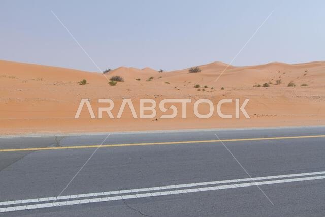 الطرق السريعة في المملكة العربية السعودية