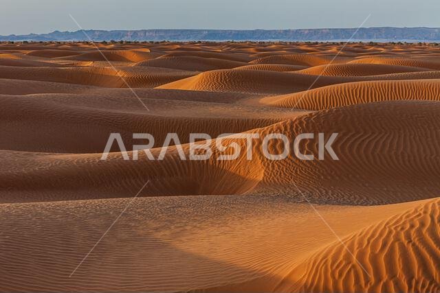 Orange sand dunes in desert, Saudi Arabia