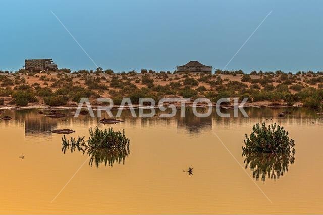 Tent and truck parked in a flooded desert landscape after rains, Saudi Arabia