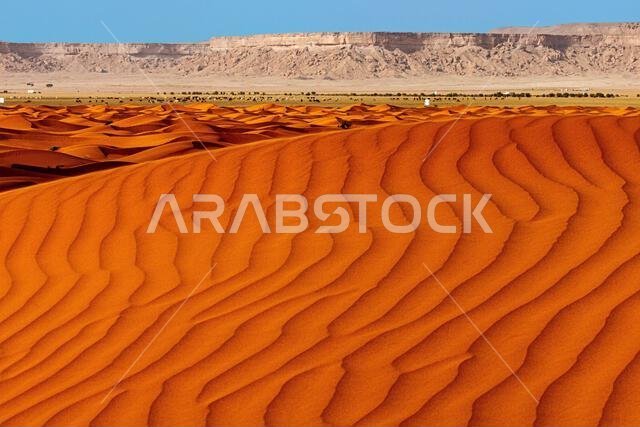 Orange sand dunes in desert landscape, Saudi Arabia