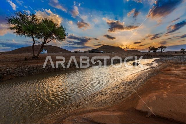 Flooded desert valley at sunset, Saudi Arabia