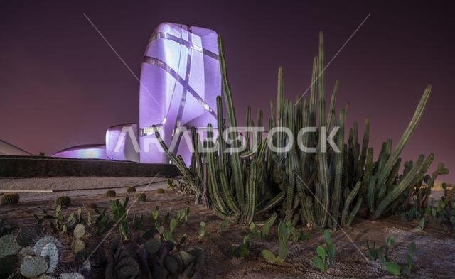 Illuminated during the night modern building in the center of Al Khobar with green cactuses in the foreground, Saudi Arabia