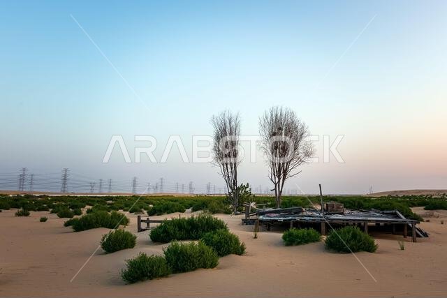 Green Desert near Al Hofuf Saudi Arabia. Green Desert near Al Hofuf Saudi Arabia.