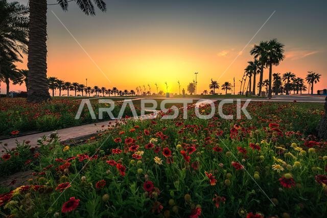 منظر شروق الشمس الجميل في كورنيش الخبر - المملكة العربية السعودية.