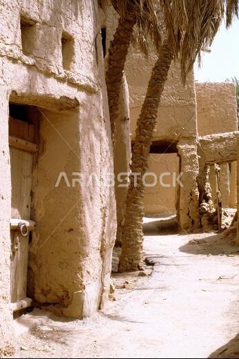 Saudi Arabia Harmah Museum Harmah Doorway and Palm Tree