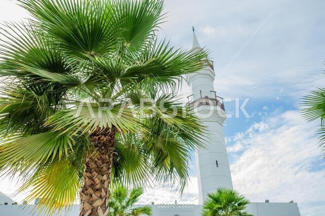 مسجد الجفالي الأبيض مع أشجار النخيل في المقدمة، جدة، المملكة العربية السعودية