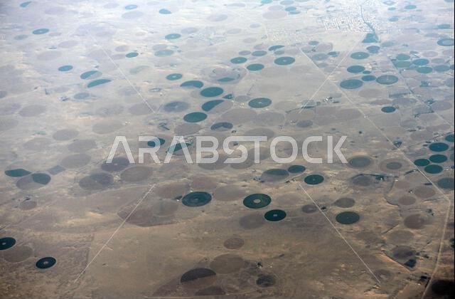 Aerial view of circular agriculture fields in the Arabian desert in Saudi Arabia.