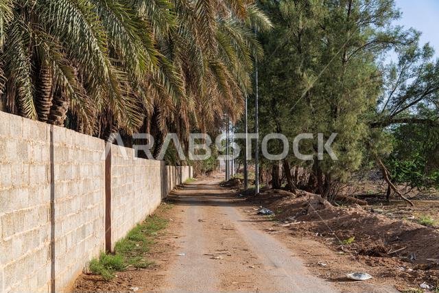 Muzahmiyah old town - dirt road - morning light