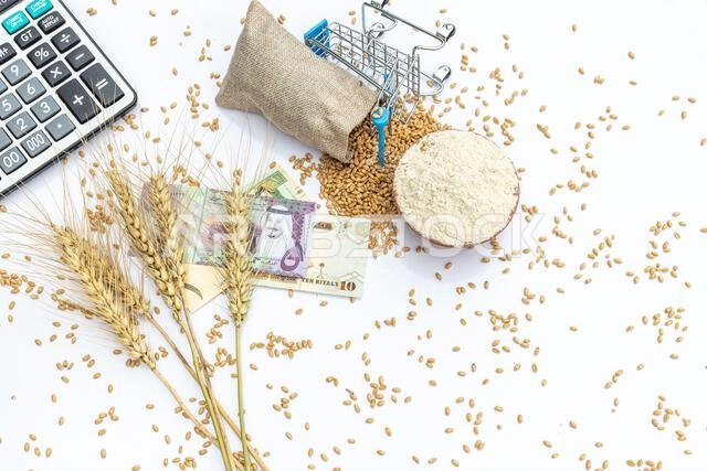 Wheat grains, ears and flour with KSA banknotes isolated on white background