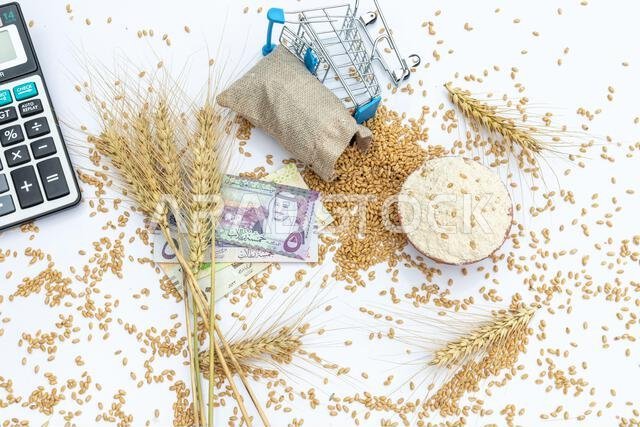 دقيق القمح وحبوب القمح في كيس بني اللون مع ورقة نقدية من الريال السعودي على خلفية بيضاء معزولة.