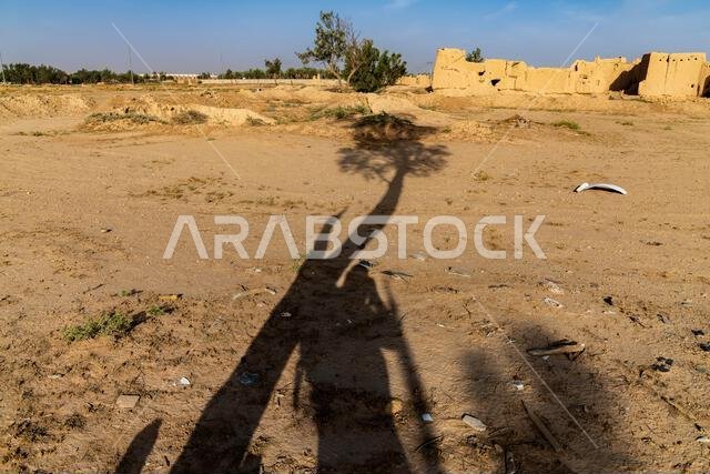Desert Shadows